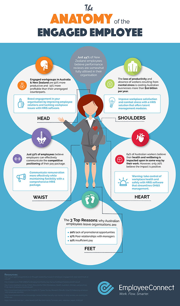 The Anatomy of the Engaged Employee