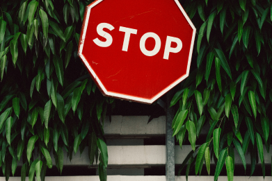 blog